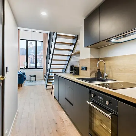 Apartment Estonishing Duo Lofts Tartu