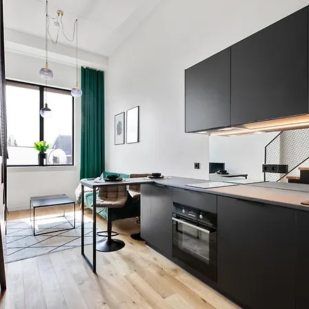 Apartment Estonishing Duo Lofts